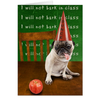 dunce cards