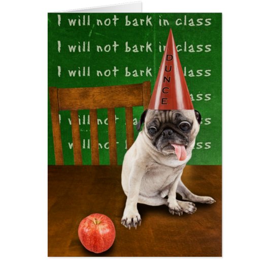 dunce cards (Front)