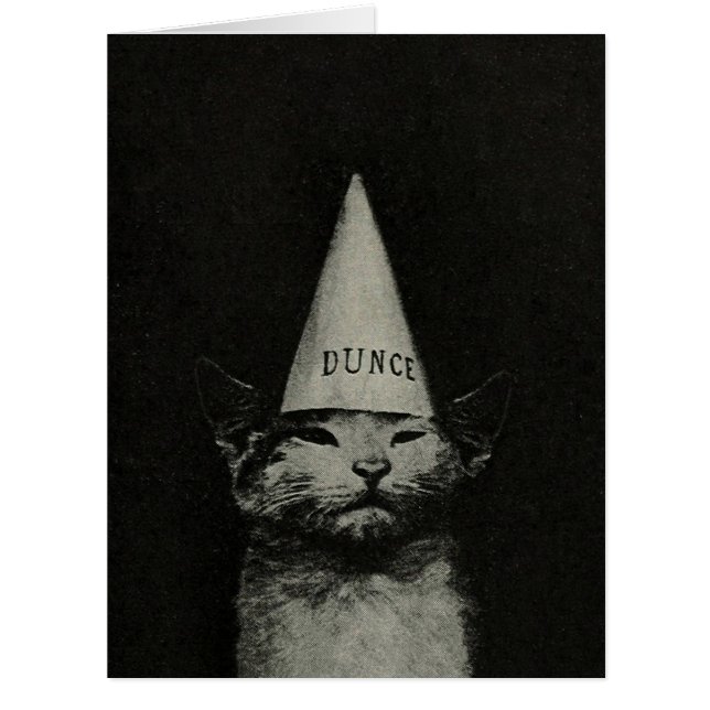 Dunce Cat - LARGE Card / Invitations (Front)
