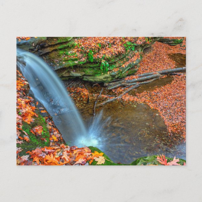 Dundee Falls in Autumn, Ohio Postcard (Front)
