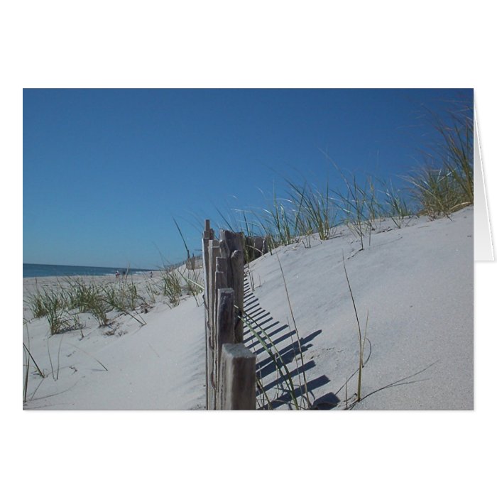 Dune Fence Cards