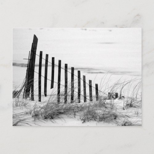 Dune Fence in Snow Postcard