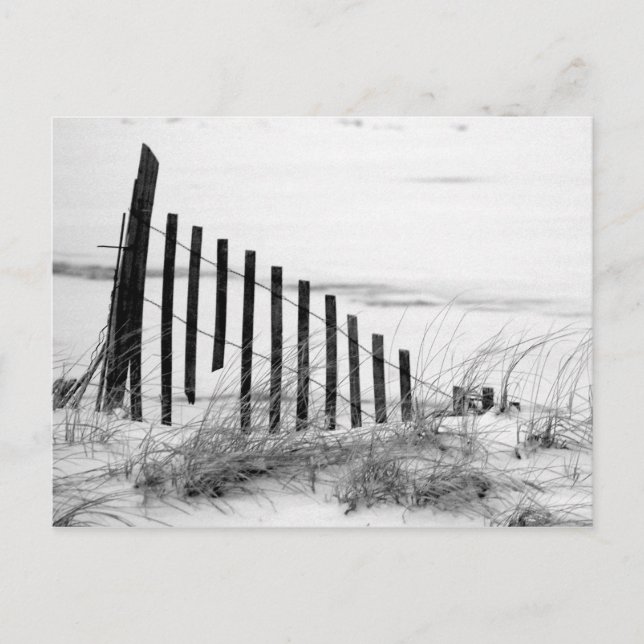 Dune Fence in Snow Postcard (Front)