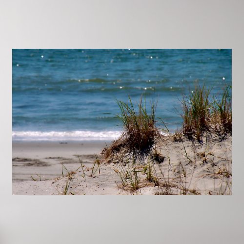Dune Grasses and Glistening Ocean Poster
