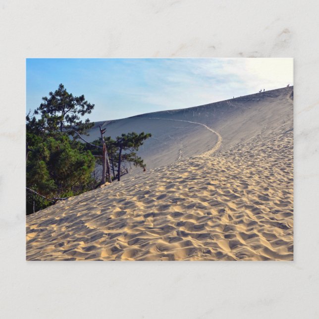 Dune of Pilat in France Postcard (Front)