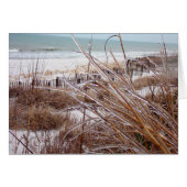 Dune-sicle (Front Horizontal)