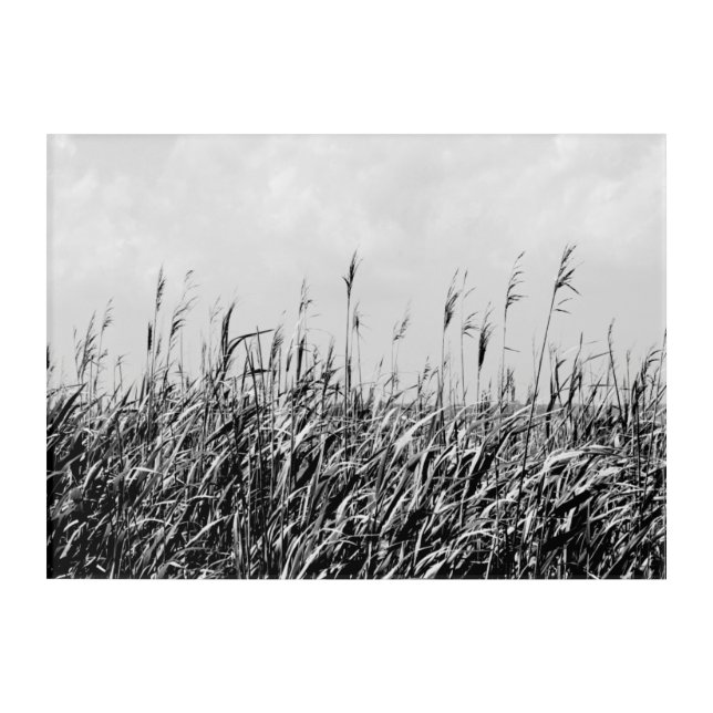 Dune Triptych III Acrylic Print (Front)