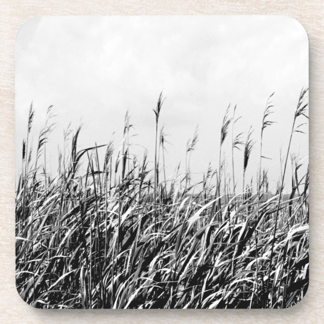 Dune Triptych III Beverage Coaster (Front)