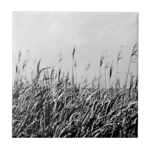 Dune Triptych III Ceramic Tile