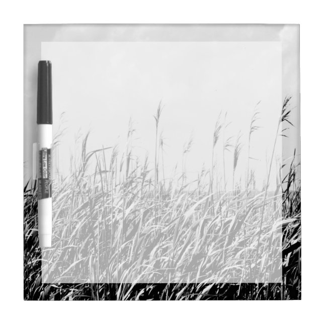 Dune Triptych III Dry-Erase Board (Front)