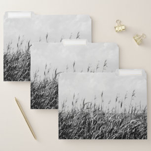 Dune Triptych III File Folder