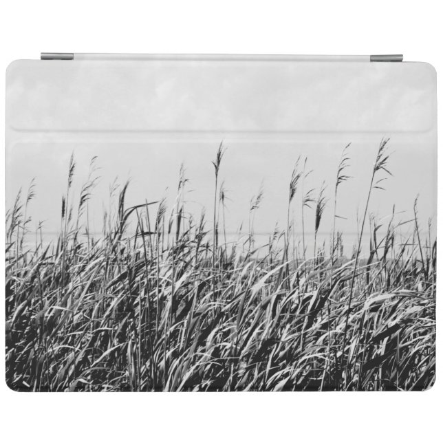 Dune Triptych III iPad Smart Cover (Horizontal)