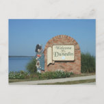 Dunedin Florida Town Sign Postcard at Zazzle