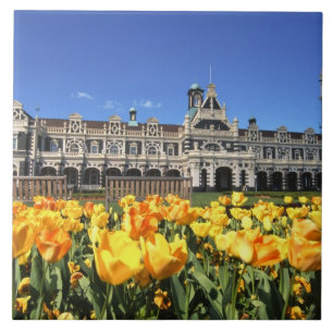 Dunedin Railway Station Ceramic Tile