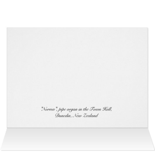 Dunedin Town Hall pipe organ (Inside Horizontal (Top))