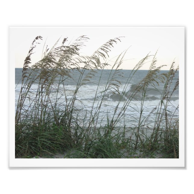 Dunegrass Photo Print (Front)