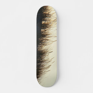 Dunes at Sundown IBSP NJ Skateboard Deck