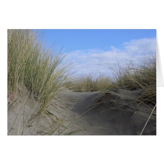 Dunes Cards (Front Horizontal)