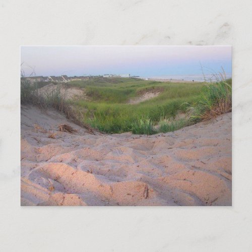 Dunes in Montauk Postcard