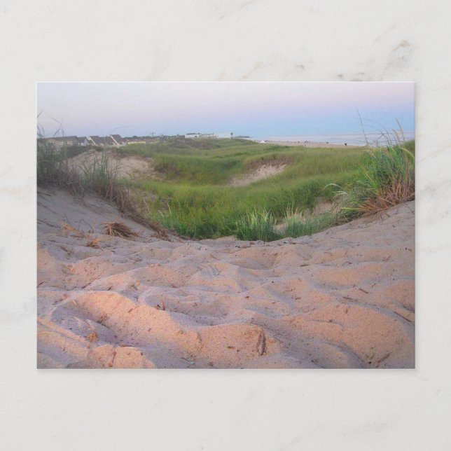 Dunes in Montauk Postcard (Front)