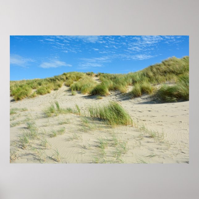 Dunes Magic   -     - Acrylic Print (Front)