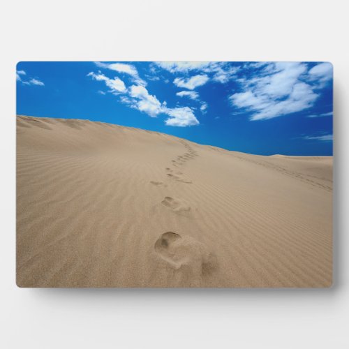 Dunes of Gran Canaria Plaque