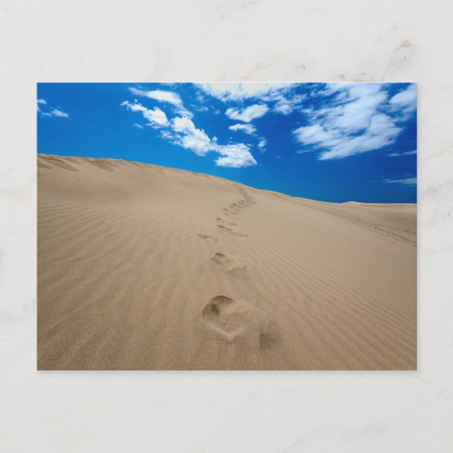 Dunes of Gran Canaria Postcard (Front)