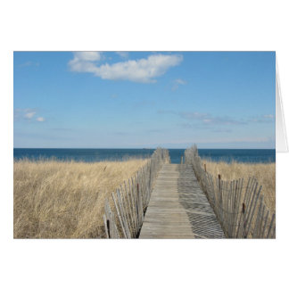 Dunes of the Cape Cards