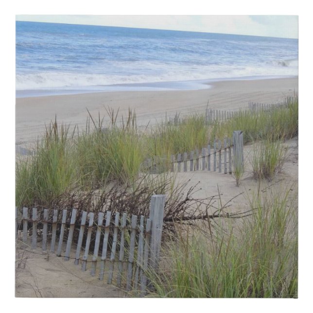 Dunes of the Outer Banks Canvas Print (Front)