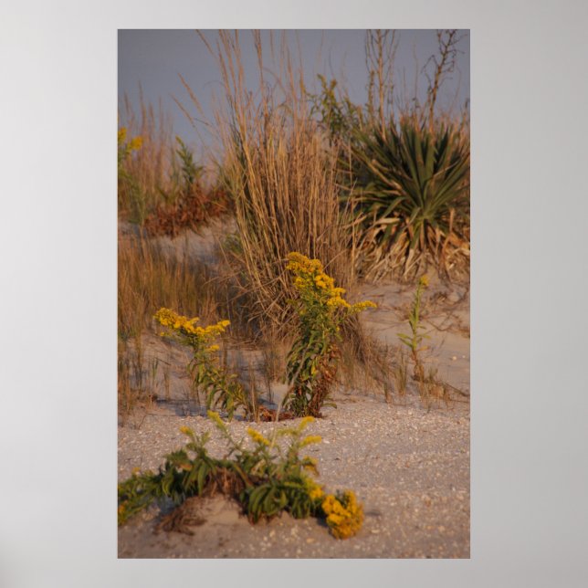 Dunes Poster (Front)