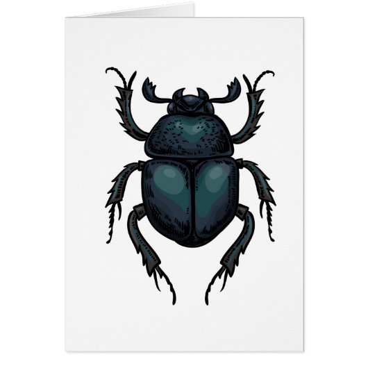 Dung beetle cards (Front)