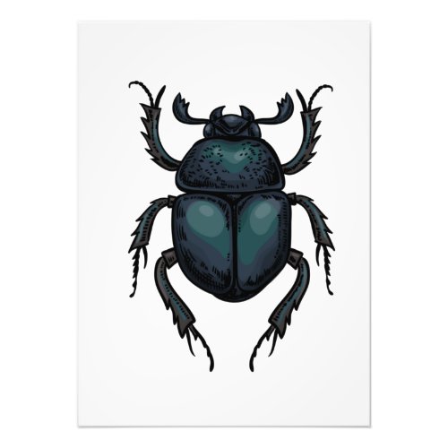 Dung beetle photo print