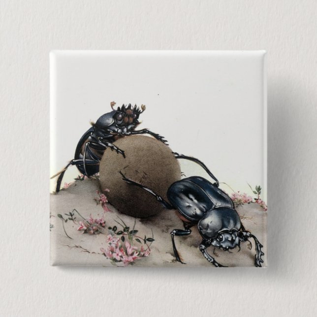 Dung Bettle Pinback Button (Front)