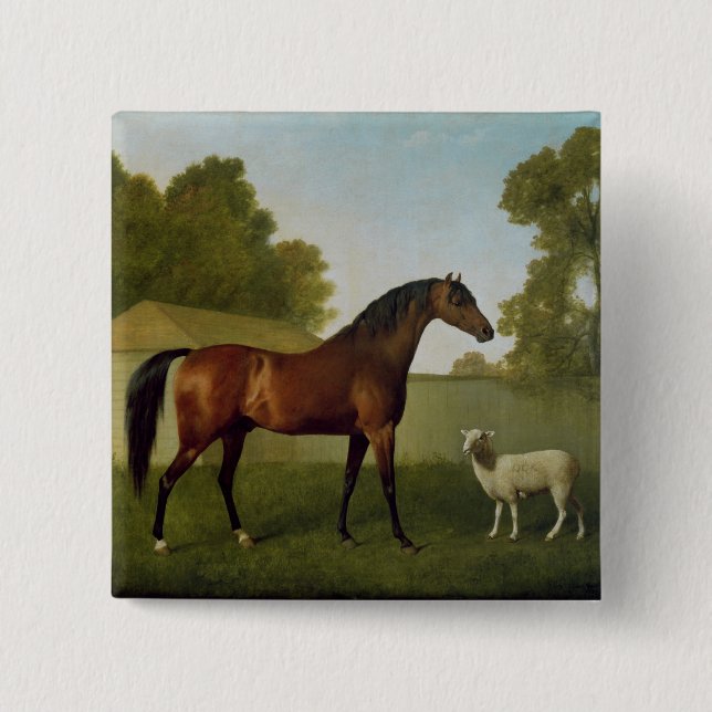 Dungannon, the property of Colonel O'Kelly Button (Front)