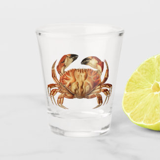 Dungeness Crab - Cancer Bellianis Shot Glass