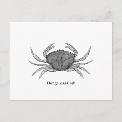 Dungeness Crab Logo line art Postcard