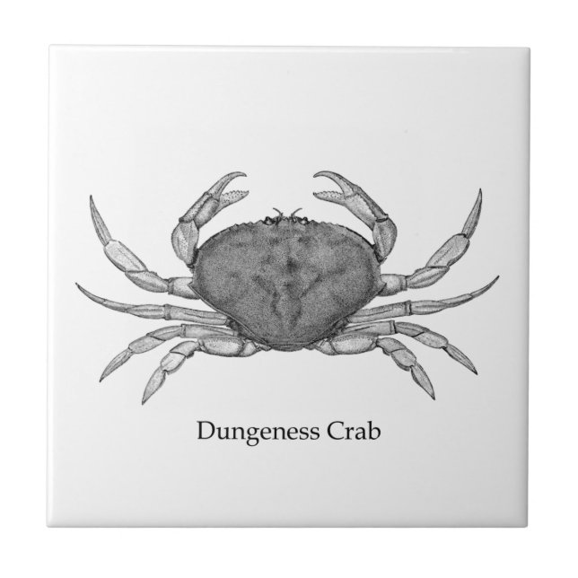 Dungeness Crab Logo (line art) Tile (Front)