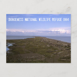 Dungeness National Wildlife Refuge Postcard
