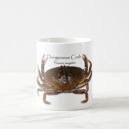 Dungeness Real Crab 3D Crab 3D white Mug