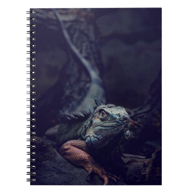 Dungeons And Dragons Notebook (Front)