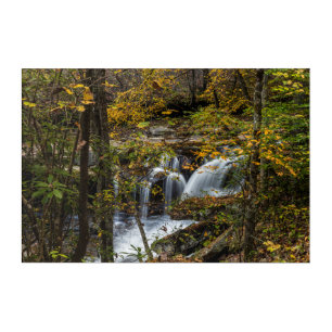 Dunloup Creek Falls West Virginia Acrylic Print