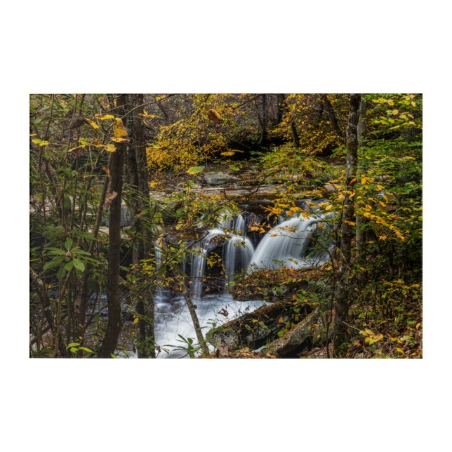Dunloup Creek Falls | West Virginia Acrylic Print (Front)