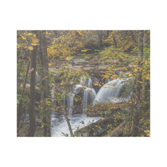 Dunloup Creek Falls | West Virginia Gallery Wrap (Front)