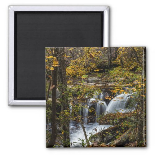 Dunloup Creek Falls  West Virginia Magnet