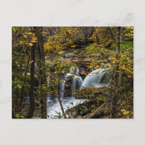 Dunloup Creek Falls  West Virginia Postcard