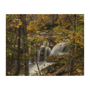 Dunloup Creek Falls West Virginia Wood Wall Art