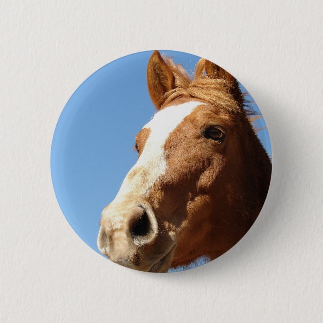 Dunnit Pinback Button (Front)