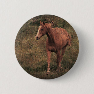 Dunnit Pinback Button