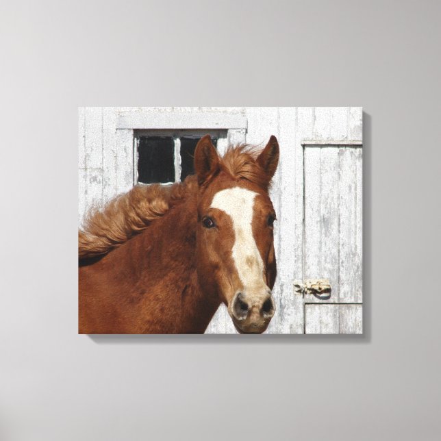 Dunnit Says Hello Canvas Print (Front)