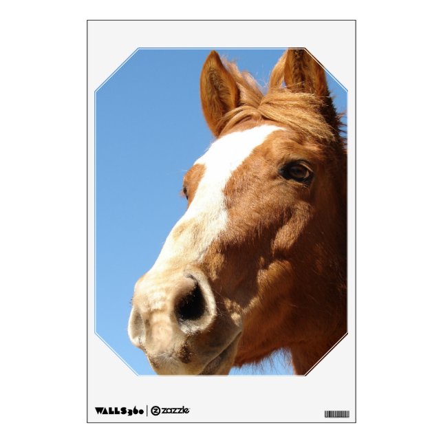 Dunnit Wall Sticker (Front)